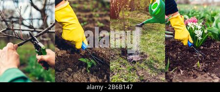 Primavera agricoltura giardinaggio collage. Alberi di potatura che allentano suolo con piante di innaffiamento della forchetta della mano che prendono la cura dei fiori Foto Stock