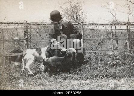 Antiquariato luglio 1898 fotografia, uomo vittoriano con cani spagnoli in cortile. Posizione esatta sconosciuta, probabilmente New York. FONTE: FOTOGRAFIA ORIGINALE Foto Stock