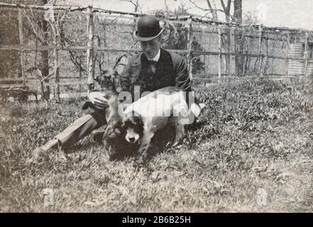 Antiquariato luglio 1898 fotografia, uomo vittoriano con cani spagnoli in cortile. Posizione esatta sconosciuta, probabilmente New York. FONTE: FOTOGRAFIA ORIGINALE Foto Stock