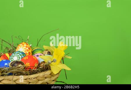 Buona Pasqua - uova dipinte e narcisi su sfondo colorato Foto Stock