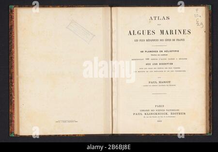 Atlas of algues marines les Plus répendues des Côtes de France (oggetto del titolo) Tipo Di Oggetto: Libro numero articolo: RP-F 2001-7-313 Iscrizioni / marchi: Nome, recto prima pagina del titolo, incollato, 'Edward Simon Tobacco Merchant 42 West Street, 42 Oostende'naam, copertina posteriore interna, bloccato 'House ed. Simon tabacco, sigari, sigarette, sigari havana, accessori per fumare Ostenda ad. Buylstraat 42'Vervaardiging Appuntamenti: 1892 Materiale: Tovaglioli di carta tecnica di cartone: Stampa / copia / agata marmo / carta marmorea dimensioni: H 237 mm × W 180 mm × D 16 mm Foto Stock