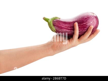 melanzane striate in mano isolato su bianco Foto Stock