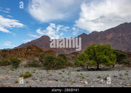 Vista sulle montagne e sulla valle lungo la strada Wadi Sahtan e il canyon serpente sulle montagne al Hajir tra Nizwa e Mascat in Oman Foto Stock