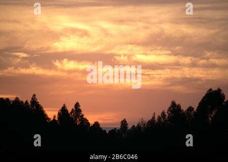 Cielo arancione brillante con nuvole gonfie che roteano nel cielo e silhouette nere di tress sul fondo. Foto Stock