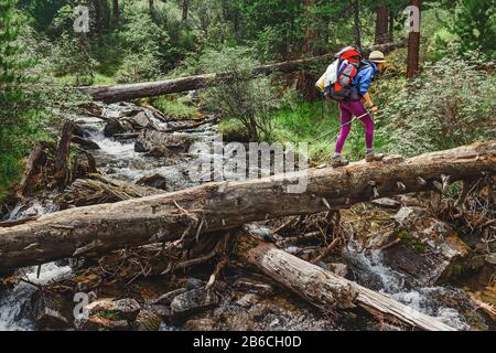 Donna escursionista che attraversa il fiume in montagna utilizzando un grande tronco d'albero, concetto di avventura all'aperto Foto Stock