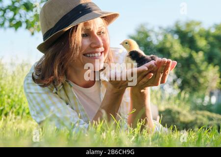 Polli neonati in mano di donna contadina Foto Stock