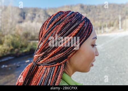 Primo piano di donne afro trecce e temute serrature, tiro all'aperto Foto Stock