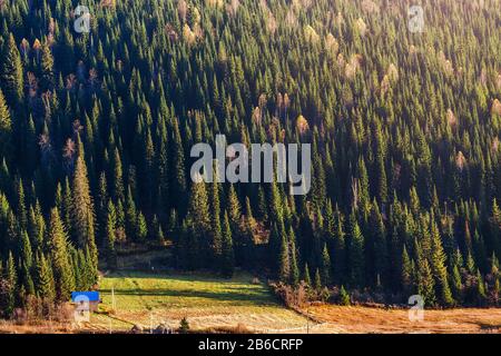 Piccola casa nella foresta in montagna Foto Stock