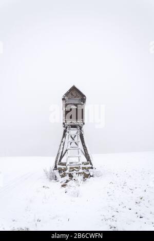 Cervi stand, cacciatori di legno alto sedile nascondere su campo coperto di neve, giorno nebbia invernale Foto Stock