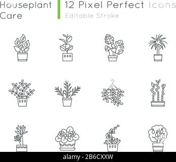 Houseplants pixel Perfect linear icone set. Piante interne. Ficus, violetto, bambù. Lily, pothos. Simboli di contorno a linee sottili personalizzabili. Isolato Illustrazione Vettoriale