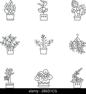 Addomesticato piante pixel perfetto icone lineari set. Piante Domestiche. Viola, ficus, monstera. Lily, pothos. Simboli di contorno a linee sottili personalizzabili Illustrazione Vettoriale