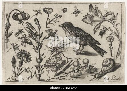 Fiori, una lumaca e un uccello uccelli, fiori, insetti, ecc. (titolo della serie) Fiori come gigli vari, un grappolo di uva, una lumaca strisciante e un uccello con verenkled speckleed. Produttore : printmaker: Nicolaes de Bruyn (possible) editore: Assuerus of Londerseel (property) Luogo di produzione: Netherlands Dating : 1594 Caratteristiche Fisiche: Car Material: Paper Technique: Engra (printing process) dimensioni: Foglio: H 92 mm × W 136 mmToelichtingPrent da una serie di stampe sconosciute tra cui uccelli, insettiflani e dieci. Oggetto: Fiori fiori: Lilymolluschi: Snailbirds Foto Stock