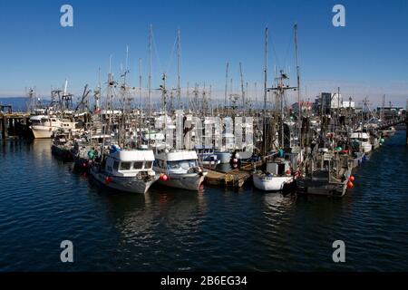 Pescherecci commerciali nel French Creek Harbor, vicino a Parksville, Vancouver Island, BC, Canada Foto Stock