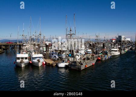 Pescherecci commerciali nel French Creek Harbor, vicino a Parksville, Vancouver Island, BC, Canada Foto Stock