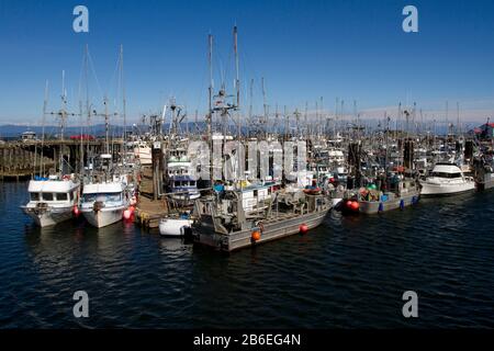 Pescherecci commerciali nel French Creek Harbor, vicino a Parksville, Vancouver Island, BC, Canada Foto Stock