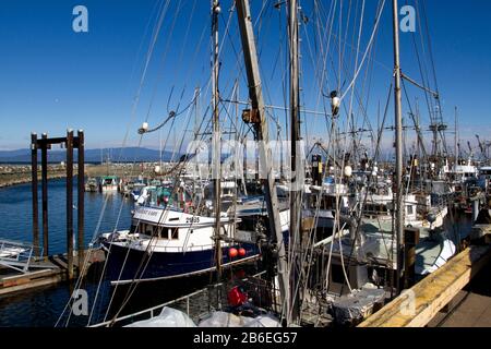 Pescherecci commerciali nel French Creek Harbor, vicino a Parksville, Vancouver Island, BC, Canada Foto Stock