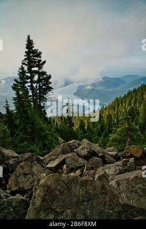 Mt. Ellinor Nello Stato Di Washington Foto Stock