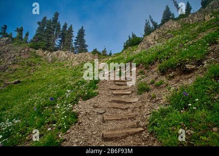 Mt. Ellinor Nello Stato Di Washington Foto Stock