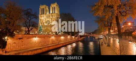 Vista notturna della Senna dal Petit Pont, Notre Dame e Pont au Double, Parigi, Ile-de-France, Francia Foto Stock