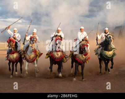 Cavaliere berbero che tira in su dopo aver sparato fucili durante una Fantasia, Dades Valley, Marocco Foto Stock