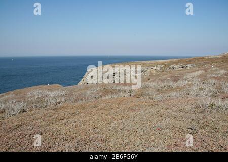 Costa frastagliata di East Anaana Island in Channel Islands National Park, California, nel pomeriggio soleggiato suummer. Foto Stock