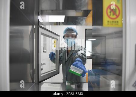 Changsha, La Provincia Cinese Di Hunan. 10th Mar, 2020. Un membro dello staff lavora al Weishi Medical Diagnostics, un istituto di test per gli acidi nucleici di terze parti, a Changsha, nella provincia centrale cinese di Hunan, il 10 marzo 2020. Al fine di contribuire a combattere la nuova epidemia di coronavirus, l'istituto testa 2.500 campioni di test di acido nucleico COVID-19 (NAT) in media al giorno. Credito: Xue Yuge/Xinhua/Alamy Live News Foto Stock