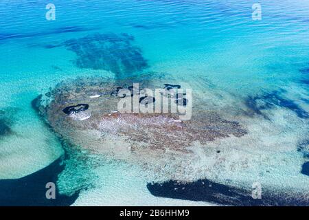 Zona d'acqua poco profonda di fronte alla spiaggia es Trenc, Parco Naturale es Trenc-Salobrar de Campos, vicino Colonia Sant Jordi, Regione Migjorn, Maiorca Foto Stock