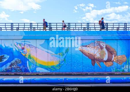 Muro del porto con dipinti di animali marini più grandi della vita, Los Cristianos, Tenerife, Isole Canarie, Spagna Foto Stock