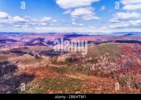 Il Grand Canyon nelle Blue Mountains australiane dopo massicci incendi di boschi di alberi di gomma bruciati. Foto Stock