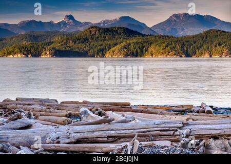 Driftwood sulla spiaggia al Rebecca Spit Provincial Marine Park, Coast Mountains in lontananza, Quadra Island, Vancouver Island area, British Columbia, Canada Foto Stock