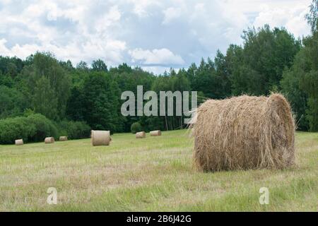 Rotoli di fieno in un prato mown sulla collina Foto Stock