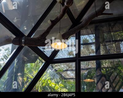 Moderna plafoniera o lampadina sospesa dal soffitto in un edificio di costruzione di una casa di vetro. Decorazione di illuminazione retrò. Foto Stock