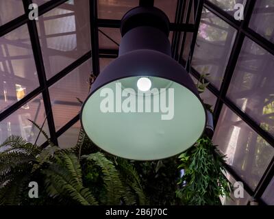 Moderna plafoniera o lampadina sospesa dal soffitto in un edificio di costruzione di una casa di vetro. Decorazione di illuminazione retrò. Foto Stock