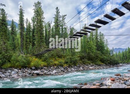 Ponte sospeso pedonale su un tumultuoso rivuleto. Taiga Della Siberia Orientale. Buryatia. Russia Foto Stock