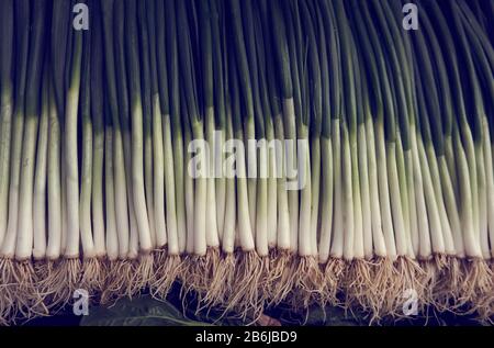 Una rete di scalogno fresco e organico per il sedano nel mercato locale Foto Stock