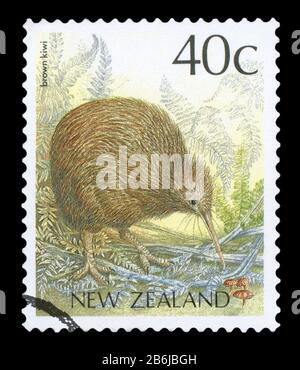 Nuova ZELANDA - CIRCA 1988: Un francobollo stampato in Nuova Zelanda dal numero 'Native Birds' mostra un kiwi marrone (Apteryx mantelli), circa 1988. Foto Stock