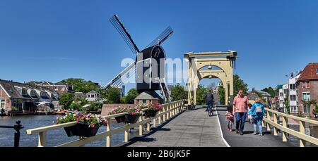 Città di Leiden, provincia dell'Olanda meridionale, Olanda, Europa - Mulino a vento 'De Put' conosciuto anche come mulino a vento di Rembrandt e il ponte levatoio che attraversa il canale di Galgewater , la città di Leiden è conosciuta per la sua architettura secolare, i suoi canali, la sua universitof 1590, il nativitof Rembrandt, La città dove fiorì il primo tulipano bulof in Europa nel 16 ° secolo Foto Stock