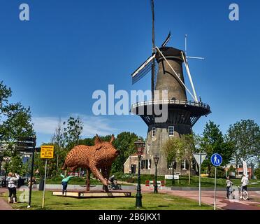 Città di Leiden, provincia dell'Olanda meridionale, Paesi Bassi, Europa - , il museo De Valk Mill sul Plattegrond Ode al maiale, di Jantien Mook (www.odetothewilderness.com) , la città di Leiden è conosciuta per la sua architettura secolare, i suoi canali, la sua universitof 1590, il nativitof Rembrand, La città dove fiorì il primo tulipano bulof in Europa nel 16 ° secolo Foto Stock