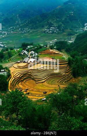 Campo di riso in terrazza nel nord del vietnam Foto Stock