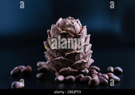 primo piano, cono di pino con noci su sfondo nero Foto Stock