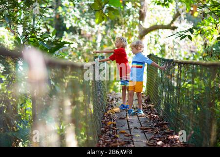 Escursioni in montagna per bambini. Ragazzo che cammina sul ponte sospeso sopra il fiume nella giungla. Viaggi e trekking con bambini piccoli. Esplorazione attiva dei bambini Foto Stock