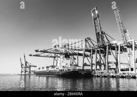 Aqaba, Giordania - 17 maggio 2018: Le gru a portale e la nave con container sono nella vista terminale di Aqaba, foto in bianco e nero Foto Stock