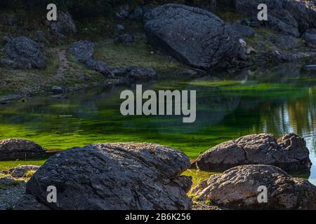 I due Laghi nella Valle dei Laghi del Triglav, primo piano Foto Stock