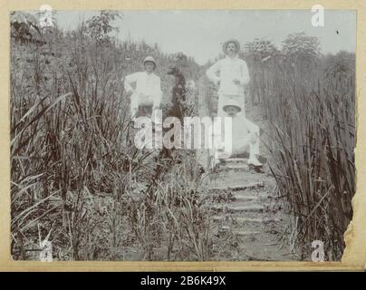 Parte dell'album di famiglia con le immagini di una famiglia olandese-indiana di uno zucchero a Purworejo. Produttore : fotografo: Anonymous place manufacturing: Dutch East Indies Dating: CA. 1900 - ca. 1920 caratteristiche Fisiche: Luce naturale gelatina argento materiale di stampa: Carta Tecnica: Luce naturale gelatina argento dimensioni di stampa: Foto: H 112 mm × W 80 mm Soggetto: Adulto uomo Foto Stock