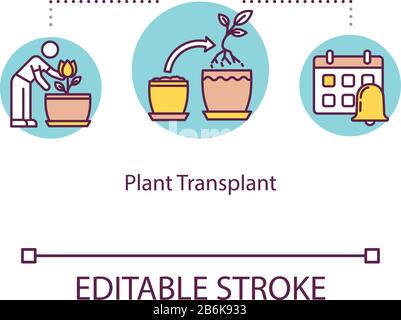 Icona Plant Transplant Concept. Reimpianto di fiori. Trapianto. Case mobili. Illustrazione a linee sottili dell'idea di repulsione tempestiva. Vettore isolato Illustrazione Vettoriale