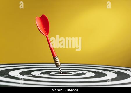 dartboard business success concept close up. foto creativa. Foto Stock