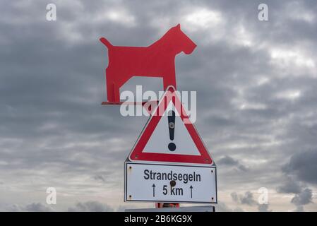 Cani Marcatore Spiaggia, Sankt Peter-Ording, Schleswig-Holstein, Germania, Europa Foto Stock