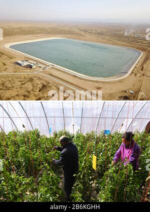 (200311) -- GULANG, 11 marzo 2020 (Xinhua) -- la foto Di Combinazione mostra un bacino idrico dell'area di irrigazione di Huanghuatan, il 5 marzo 2020 (su) e la serra della famiglia li Yingchuan a Fumin New Village, area di migrazione ecologica di Huanghuatan nella contea di Gulang, il 10 marzo 2020 (giù), nella provincia di Gansu della Cina nordoccidentale. La contea di Gulang, situata ai piedi delle montagne Qilian, è un'area povera. Dal 2013, il governo locale ha spostato decine di villaggi amministrativi nelle montagne povere del sud nella zona di migrazione ecologica Huanghuatan attraverso l'attuazione del progetto rel Foto Stock