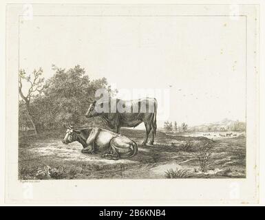 Un toro e una mucca in un pascolo UN toro e una mucca in un pascolo tipo di oggetto: Immagine numero articolo: RP-P-BI 451Catalogusreferentie: Hippert & Linnig 174-1 (2) Nota 2 (4) basato sulla collezione RMA Iscrizioni / marchi: Collector's mark, vero middle, timbrato: Lugt 2228 Produttore : Incisore Ernst Willem Jan Bagelaar (proprietà in elenco) to painting by Ernst Willem Jan Bagelaar (proprietà in elenco) Luogo produzione: Paesi Bassi Data: 1798 - 1837 caratteristiche Fisiche: Materiale di incisione: Tecnica della carta: Dimensioni di incisione: Bordo della piastra : h 218 mm × W 280 mm Oggetto: Bovini Foto Stock