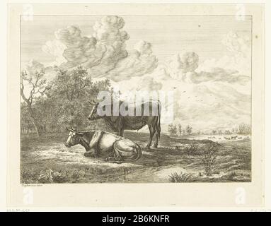 Un toro e una mucca in un pascolo UN toro e una mucca in un pascolo tipo di oggetto: Immagine numero articolo: RP-P-BI 452Catalogusreferentie: Hippert & Linnig 174-2 (2) Nota 3 (4) in base alla collezione RMA Iscrizioni / marchi: Collector's mark , vero center, timbrato: Lugt 2228 Produttore : Incisore Ernst Willem Jan Bagelaar (proprietà in elenco) to painting by Ernst Willem Jan Bagelaar (Proprietà in elenco) Luogo produzione: Paesi Bassi Data: 1798 - 1837 caratteristiche Fisiche: Acquaforte e cartongesso materiale: Tecnica della carta : incisione / misure del punto di essiccazione: Bordo della piastra: H 219 mm × W 278 mm Oggetto: Cattl bovino Foto Stock